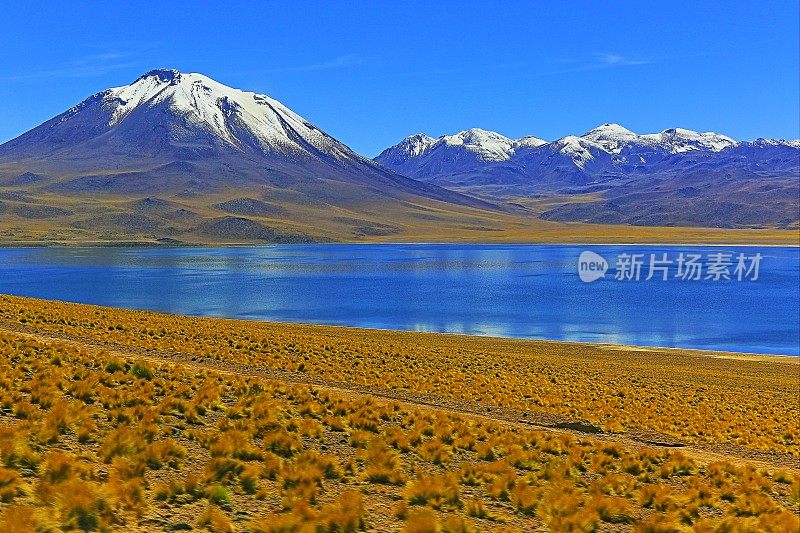 Lagunas Miñiques和Miscanti -湖泊和雪顶火山山-绿松石湖和田园般的阿塔卡马沙漠，火山景观全景-圣佩德罗阿塔卡马，智利，Bolívia和阿根廷边境